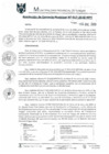 Vista preliminar de documento RGM0017-2020