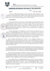 Vista preliminar de documento RGM0035-2020