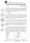 Vista preliminar de documento RGM0030-2020