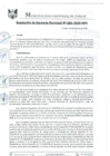 Vista preliminar de documento RGM0085-2020