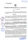 Vista preliminar de documento R.D. Nº 436.pdf