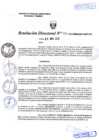Vista preliminar de documento R.D. Nº 445.pdf