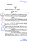 Vista preliminar de documento R.D. Nº 450.pdf