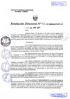 Vista preliminar de documento R.D. Nº 452.pdf