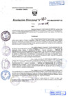 Vista preliminar de documento R.D. Nº 460.pdf