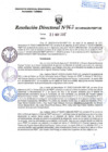 Vista preliminar de documento R.D. Nº 462.pdf