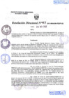 Vista preliminar de documento R.D. Nº 463.pdf
