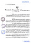 Vista preliminar de documento R.D. Nº 466.pdf