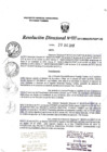 Vista preliminar de documento R.D. Nº 484.pdf