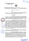 Vista preliminar de documento R.D. Nº 489.pdf
