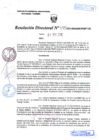 Vista preliminar de documento R.D. Nº 495.pdf