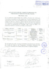 Vista preliminar de documento Acta de Eleccion del Comite de Vigilancia