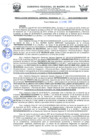 Vista preliminar de documento 0010-2019-GOREMAD/GG