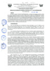 Vista preliminar de documento 0163-2019-GOREMAD/GG