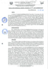 Vista preliminar de documento 0187-2019-GOREMAD/GG