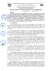 Vista preliminar de documento 0195-2019-GOREMAD/GG