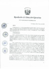 Vista preliminar de documento Resolución de Dirección Ejecutiva N° 011-2020.pdf