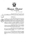 Vista preliminar de documento RD N° 252-2011.pdf