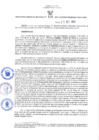 Vista preliminar de documento RES-236-2021-GRP-GRDS