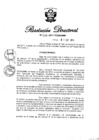 Vista preliminar de documento RD N° 257-2011.pdf