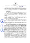 Vista preliminar de documento RES N°242-2021-GRDS