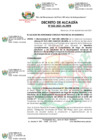 Vista preliminar de documento DEC. 0022-2020-ALMPB