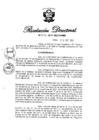 Vista preliminar de documento RD N° 272-2011.pdf