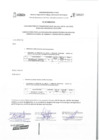 Vista preliminar de documento fe de erratas n°2.pdf