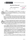 Vista preliminar de documento Resolución Directoral N°398-2021-MIDAGRI-PEBLT-DE.pdf