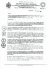 Vista preliminar de documento REA 273.pdf