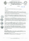 Vista preliminar de documento REA 281.pdf