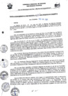 Vista preliminar de documento RESOLUCION 195.pdf