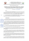 Vista preliminar de documento 336-2019-GOREMAD/DRFFS -HIS