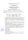 Vista preliminar de documento Resumen Ejecutivo