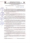 Vista preliminar de documento 1982-2013-GOREMAD/DRFFS-HIS
