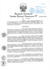 Vista preliminar de documento RP N°163-2021.pdf