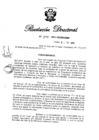 Vista preliminar de documento RD N° 299-2011.pdf
