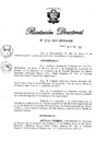 Vista preliminar de documento RD N° 302-2011.pdf