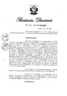 Vista preliminar de documento RD N° 306-2011.pdf
