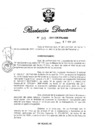 Vista preliminar de documento RD N° 313-2011.pdf