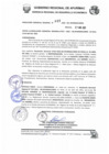 Vista preliminar de documento RESOLUCION GERENCIAL REGIONAL N 047-2021-GR.APURIMAC.GRDE