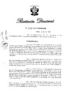 Vista preliminar de documento RD N° 323-2011.pdf