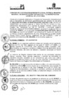 Vista preliminar de documento co_009-19