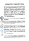 Vista preliminar de documento CON_042-2019-MLV