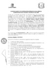 Vista preliminar de documento CON_021-2020-MLV