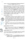 Vista preliminar de documento CON_020-2020-MLV