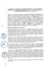 Vista preliminar de documento CON_019-2020-MLV