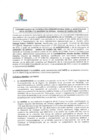 Vista preliminar de documento CON_013-2020-MLV
