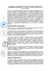 Vista preliminar de documento CON_009-2021-MLV
