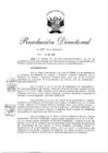 Vista preliminar de documento RD225-2018-JUS_DGJLR